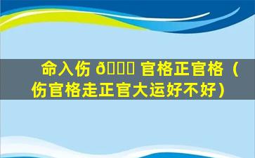 命入伤 🐝 官格正官格（伤官格走正官大运好不好）